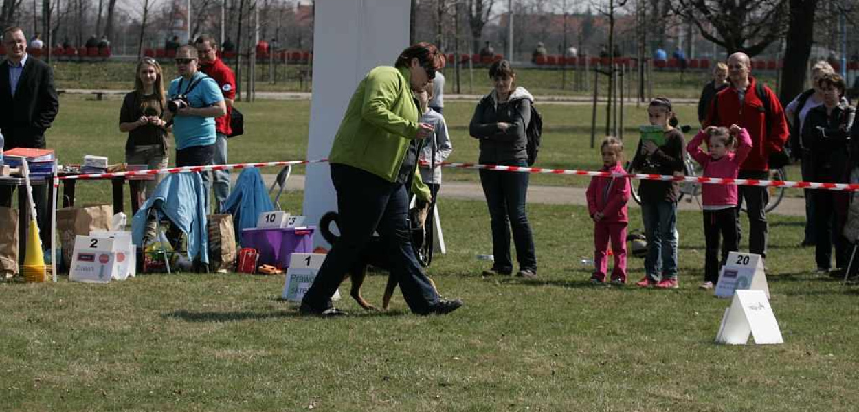 Psie zawody. Zabawa zamiast rywalizacji 