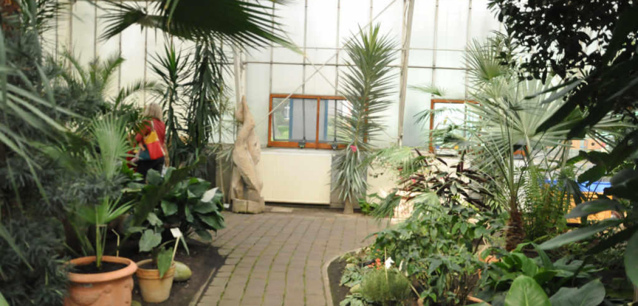 Wiosna w legnickiej palmiarni