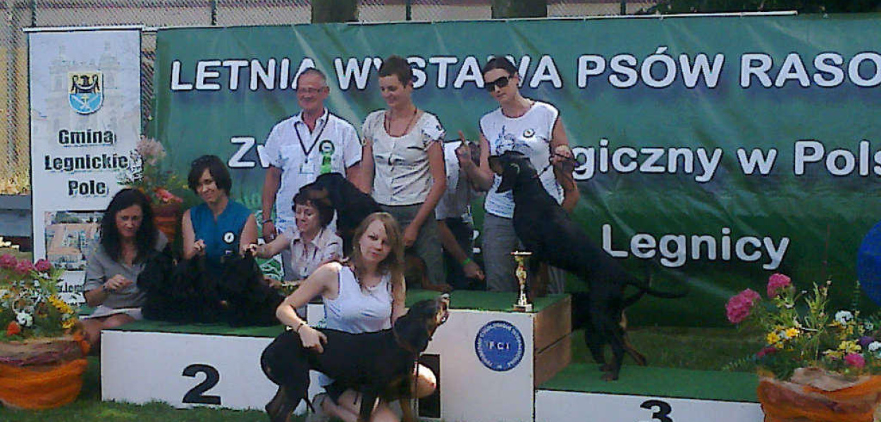 Rasowe psy zawładnęły w weekend Legnickim Polem 