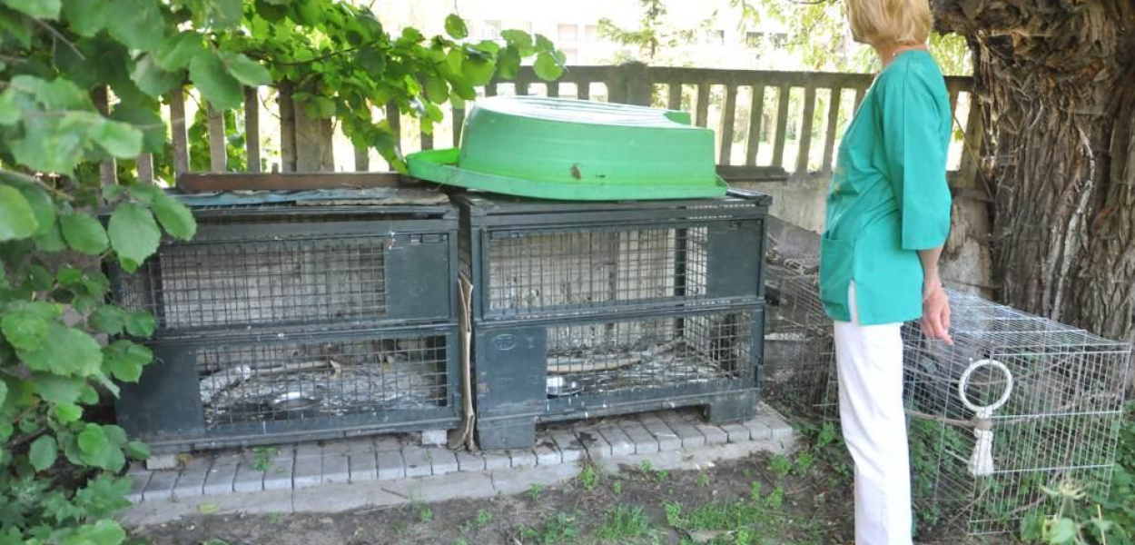 Ranne ptaki mają swój kąt przy ul. Grunwaldzkiej 