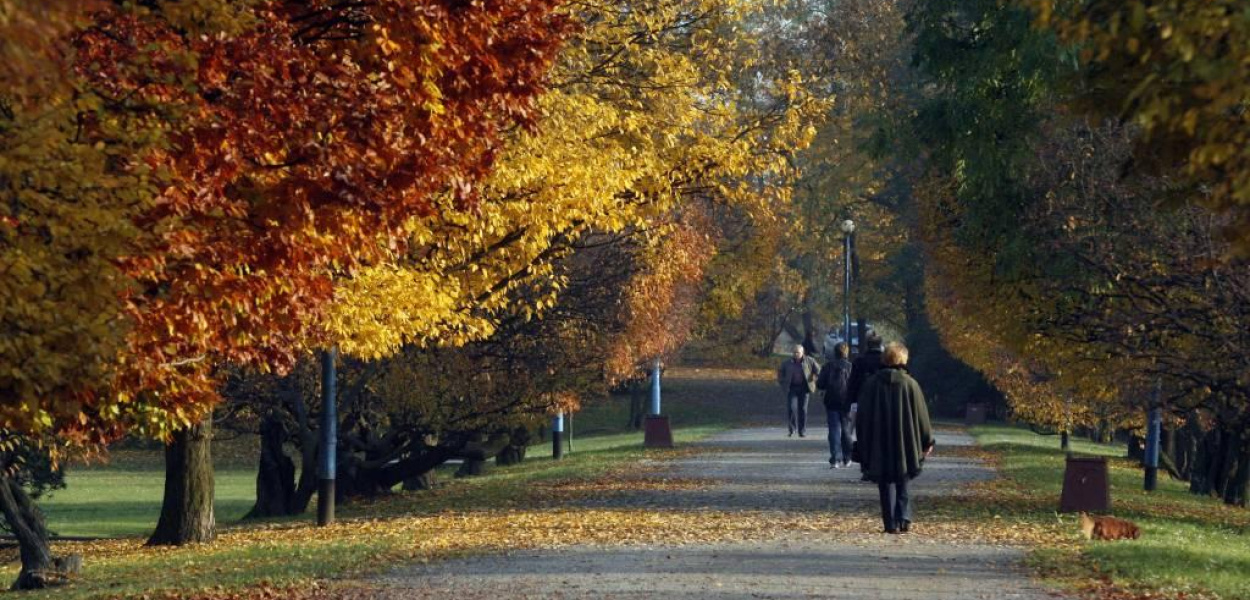 Jesienna Legnica oczami czytelników. Cz.2
