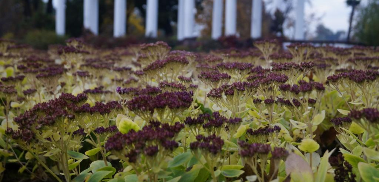 Jesienna Legnica oczami naszych czytelników cz.3
