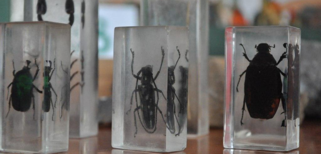 Młodzi kolekcjonerzy i hobbyści w MCK