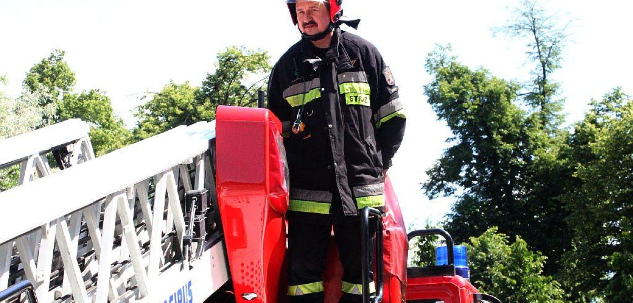 Strażacy zlikwidowali gniazdo os na poddaszu