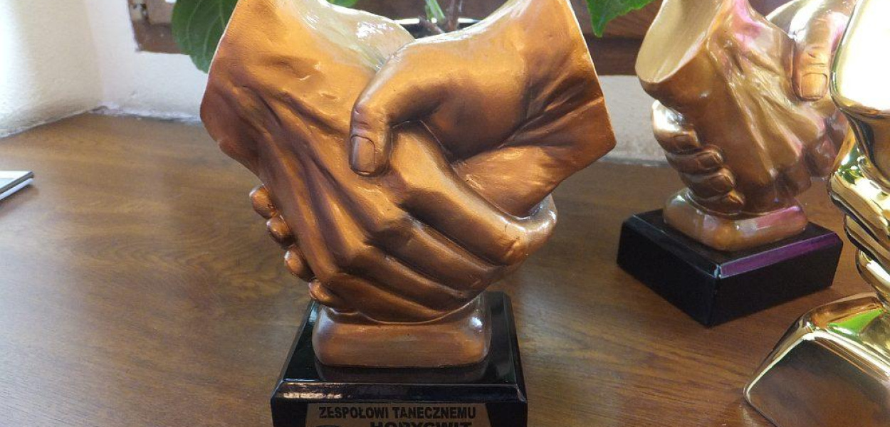 TPD podsumowało rok i wręczyło odznaczenia