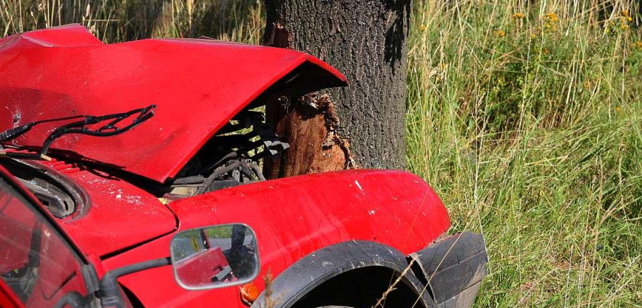 Wjechał samochodem prosto w drzewo