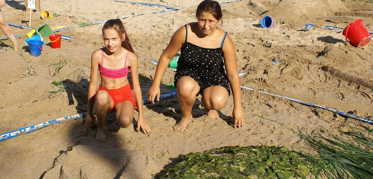 Piaskownica 2014 roztrzygnięta