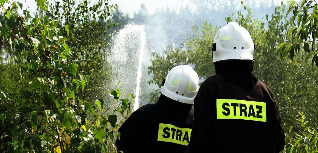 Straż walczy z pożarem lasu pod Prochowicami