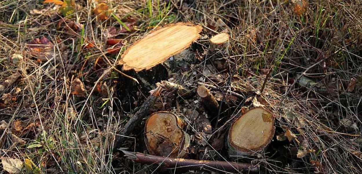 Solar Park rozpoczyna inwestycję na Piekarach