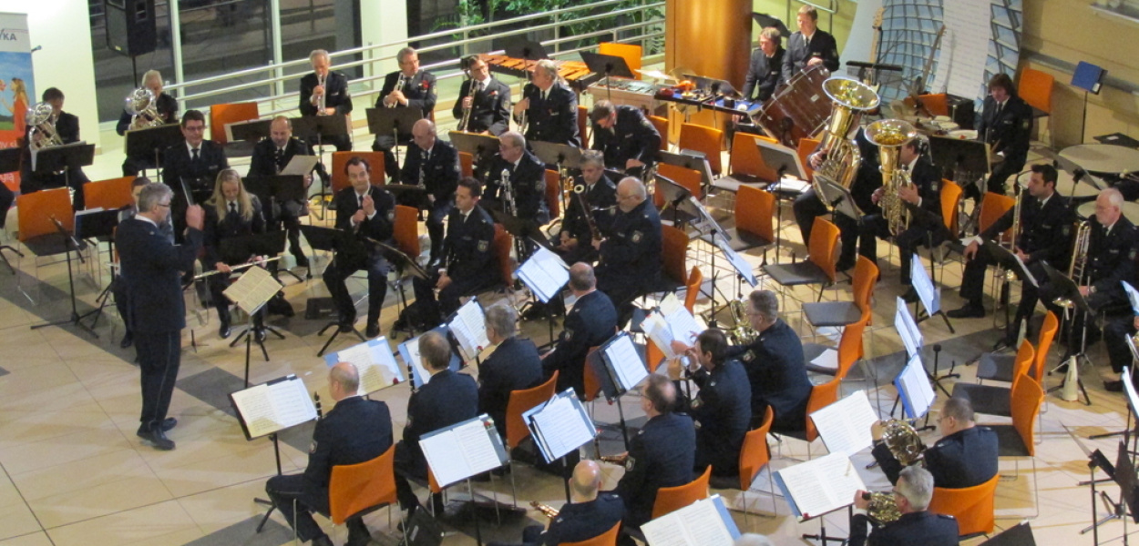 Zagrali i zaśpiewali w szczytnym celu