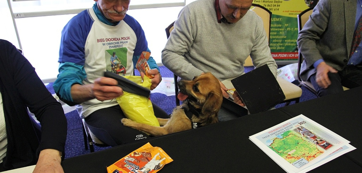 Przemierzy Polskę w obronie praw zwierząt