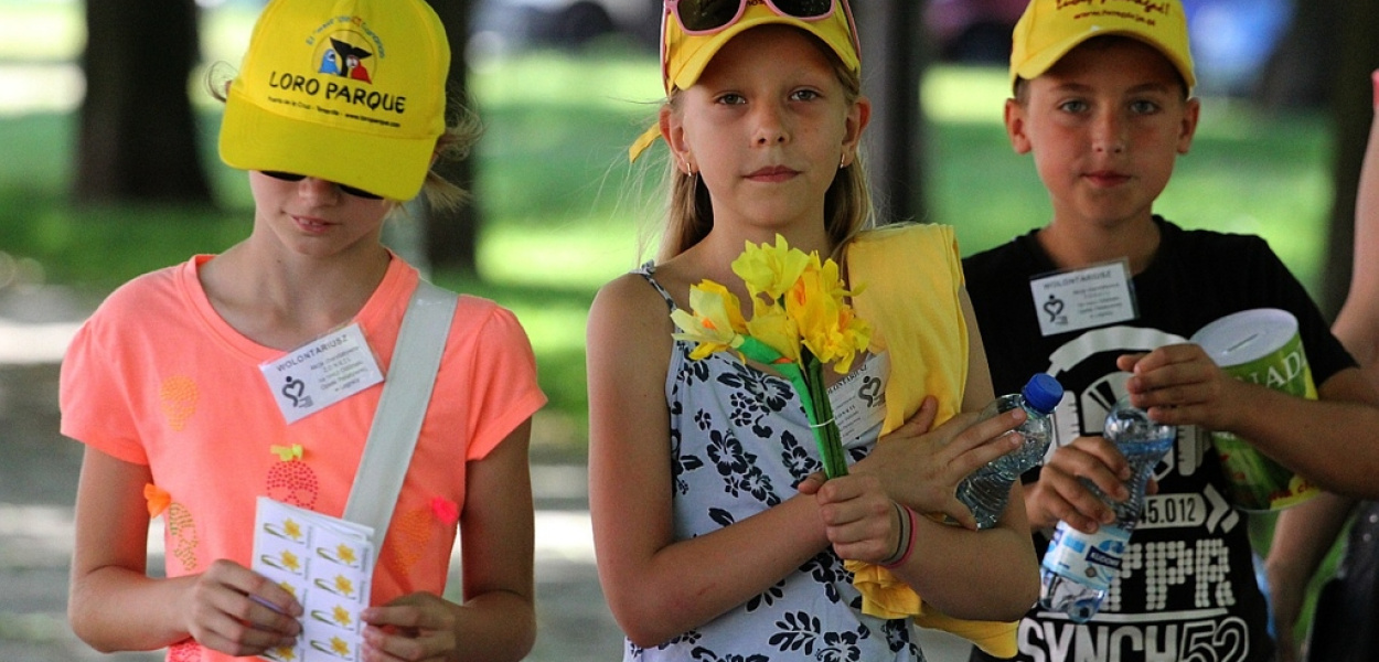 Żonkile za pomoc. Żółta niedziela w Legnicy