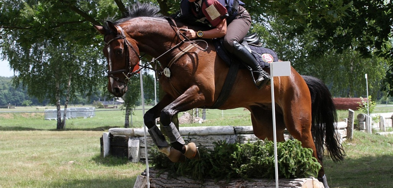 Krajowa elita WKKW zatańczyła w Jaroszówce