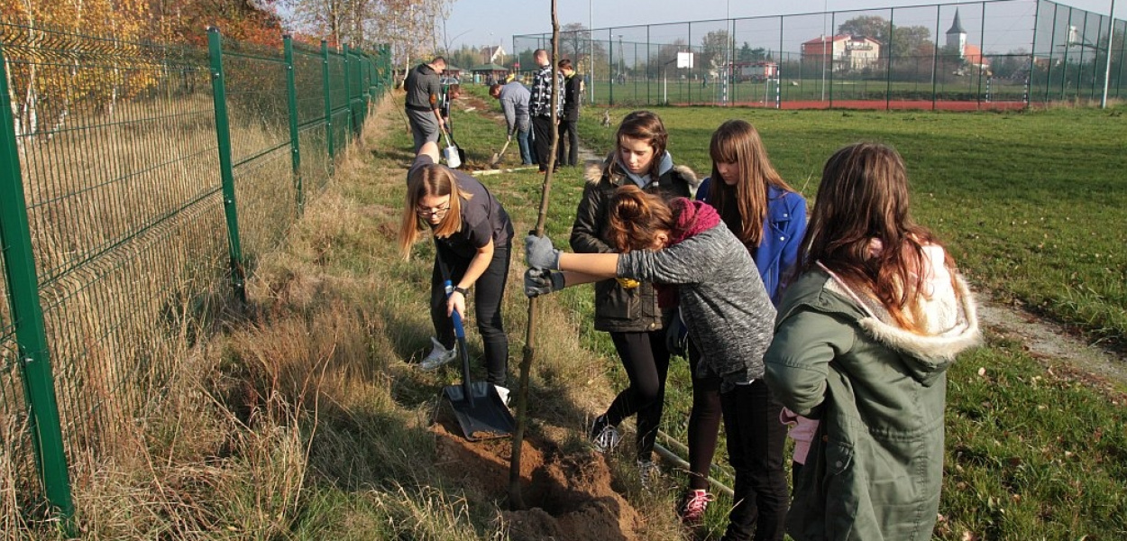 Mieszkańcy Ziemnic i Grzybian zadrzewiają wsie