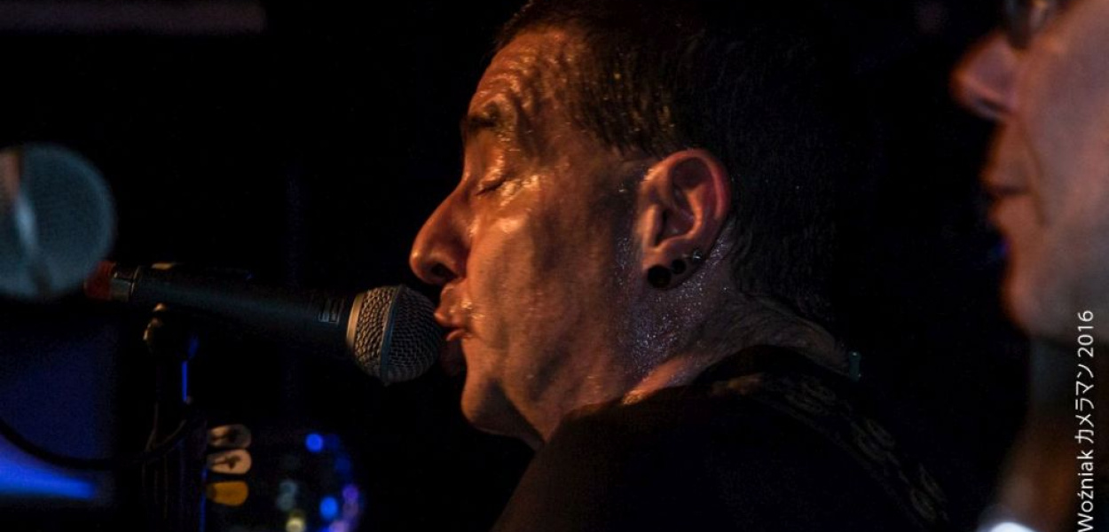 Kobranocka. Toruńska uczta na kolację
