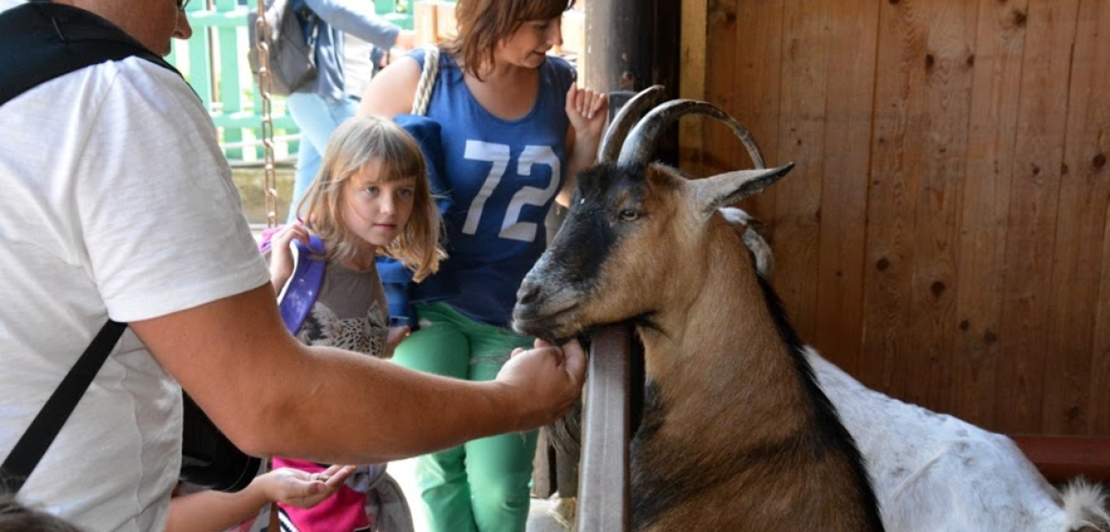 Wakacje w Domu Kultury Atrium