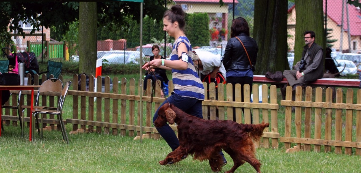 Psy myśliwskie zaprezentowały się w całej krasie