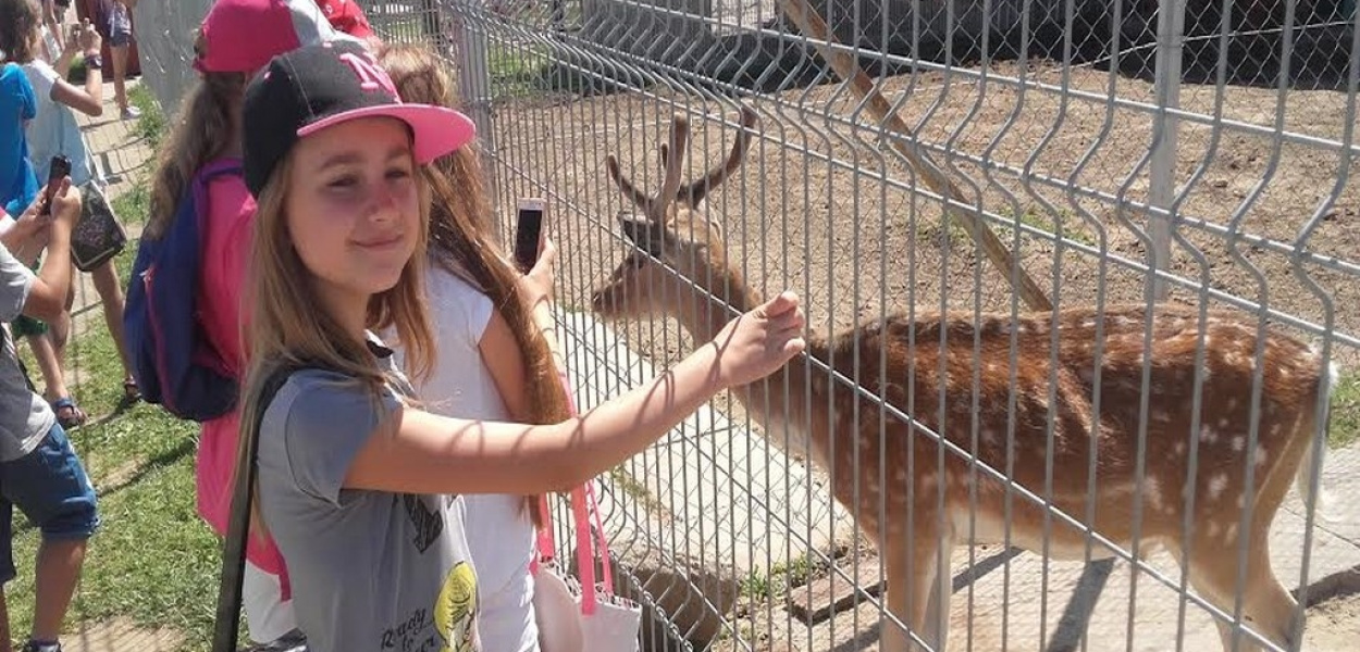 Ponad 400 osób na koloniach ze Spynaczem