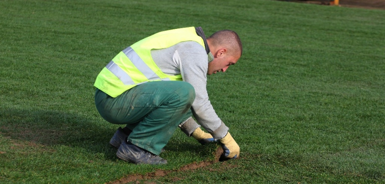 Na stadionie rozpoczęli już układanie nowej murawy
