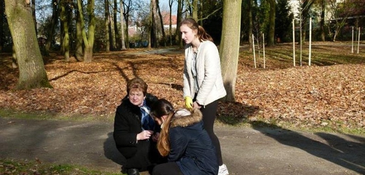 Prochowicki park wrócił do czasów swojej świetności