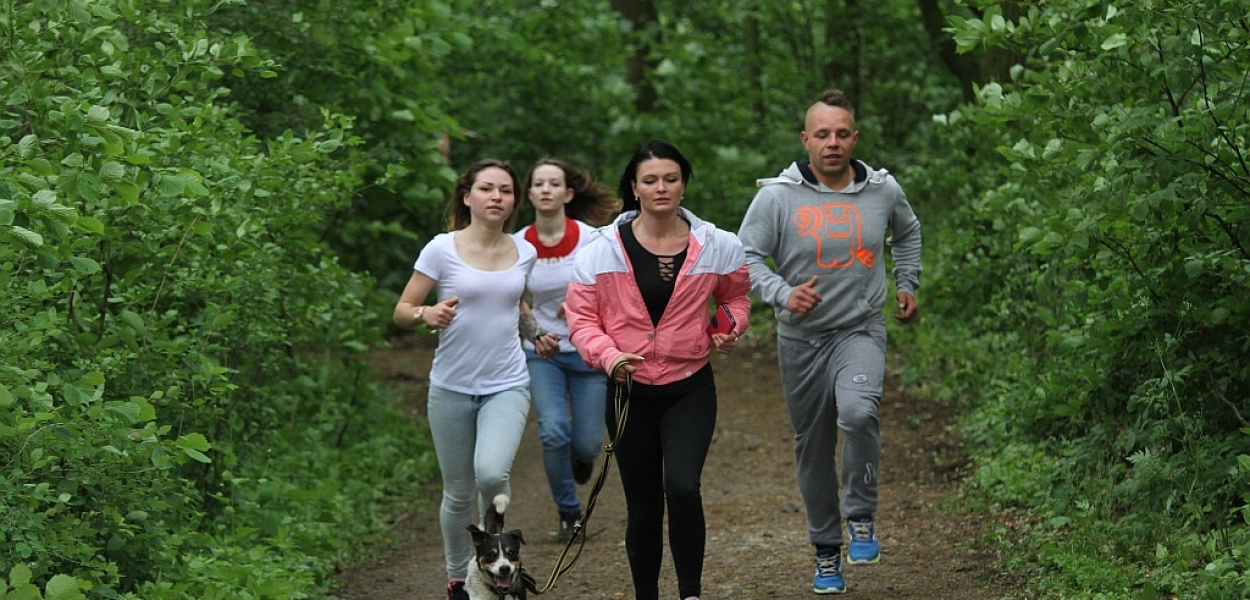Bieg i spacer na dwie nogi i cztery łapy