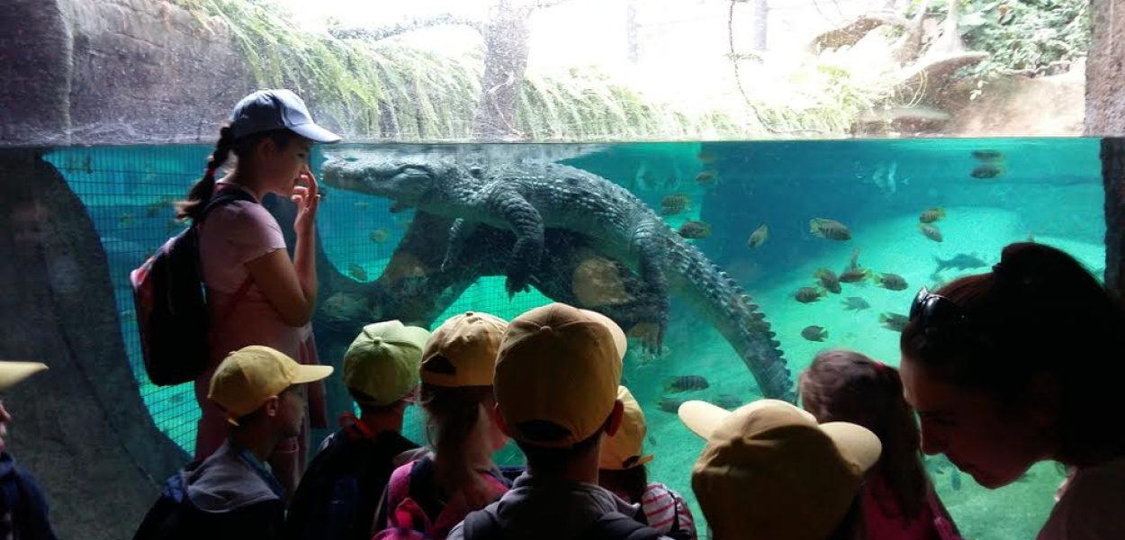 Półkolonie w Młodzieżowym Centrum Kultury na półme