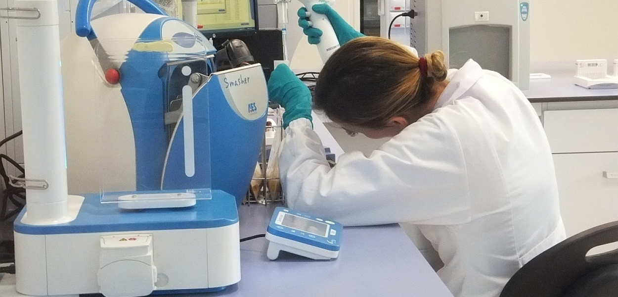 LIS Polska: nowe inwestycje, nowe wyzwania