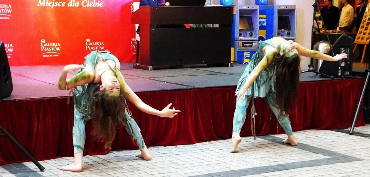 Ósmy festiwal promocji organizacji pozarządowych