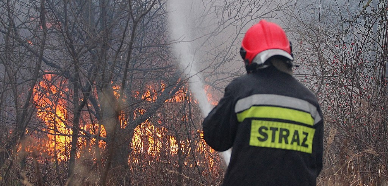 Płonęły działkowe altanki przy ul. Pątnowskiej