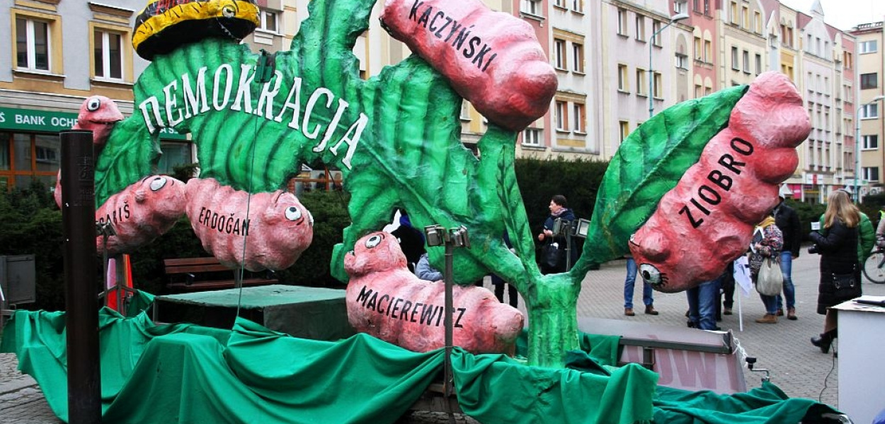 Niebezpieczne gąsienice pożerały w legnickim rynku