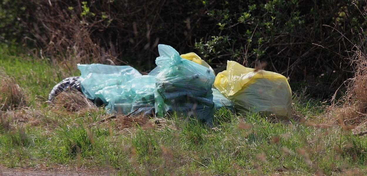 Czyny społeczne po legnicku - w dwóch grupach