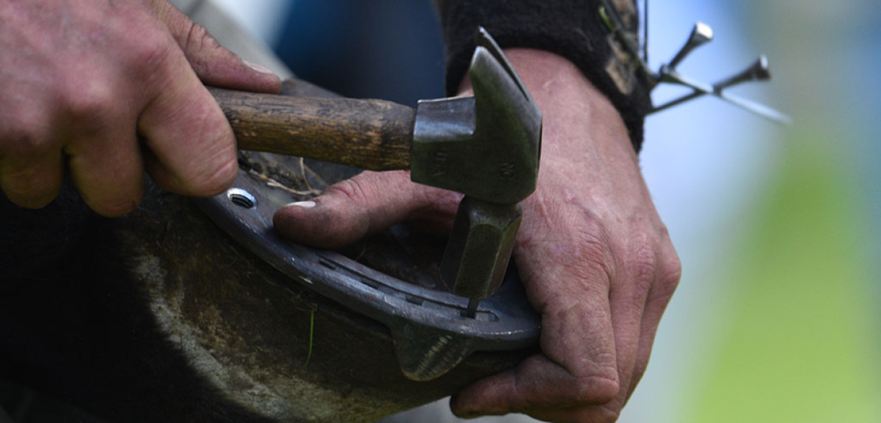 Weekend z LCA.PL. Zobacz co się działo