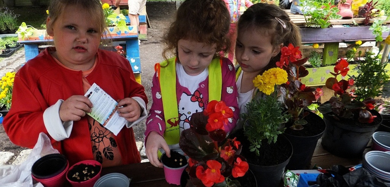 Niezwykłe ogródki legnickich przedszkolaków