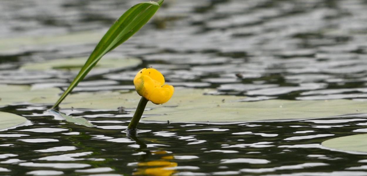 Weekend z LCA.PL. Zobacz co się działo