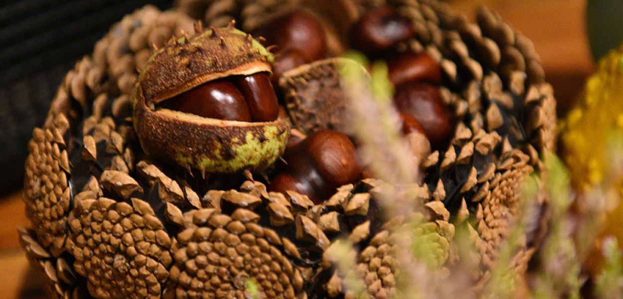 Weekend z LCA.PL. Zobacz co się działo