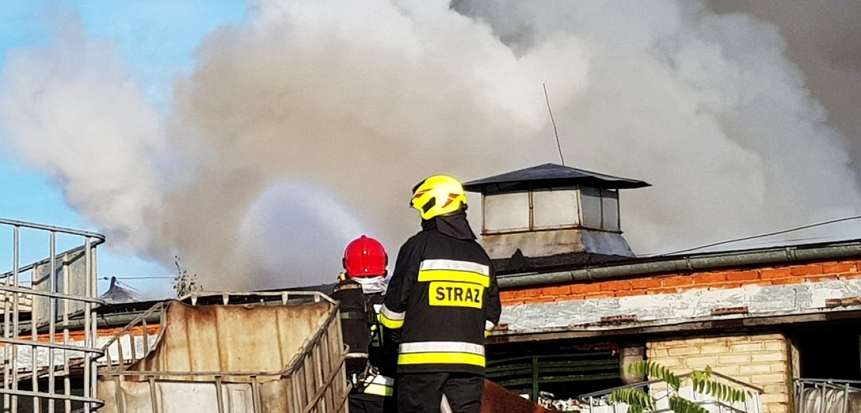 Płonie składowisko odpadów w Prochowicach