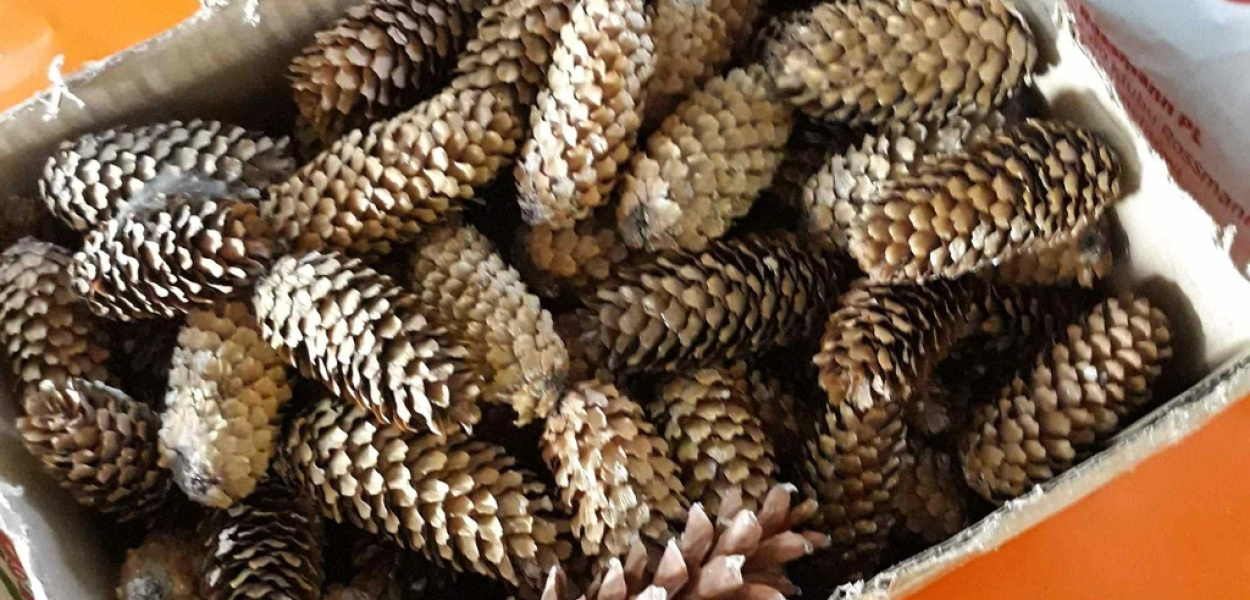 Warsztaty kreatywne w Legnickim Polu