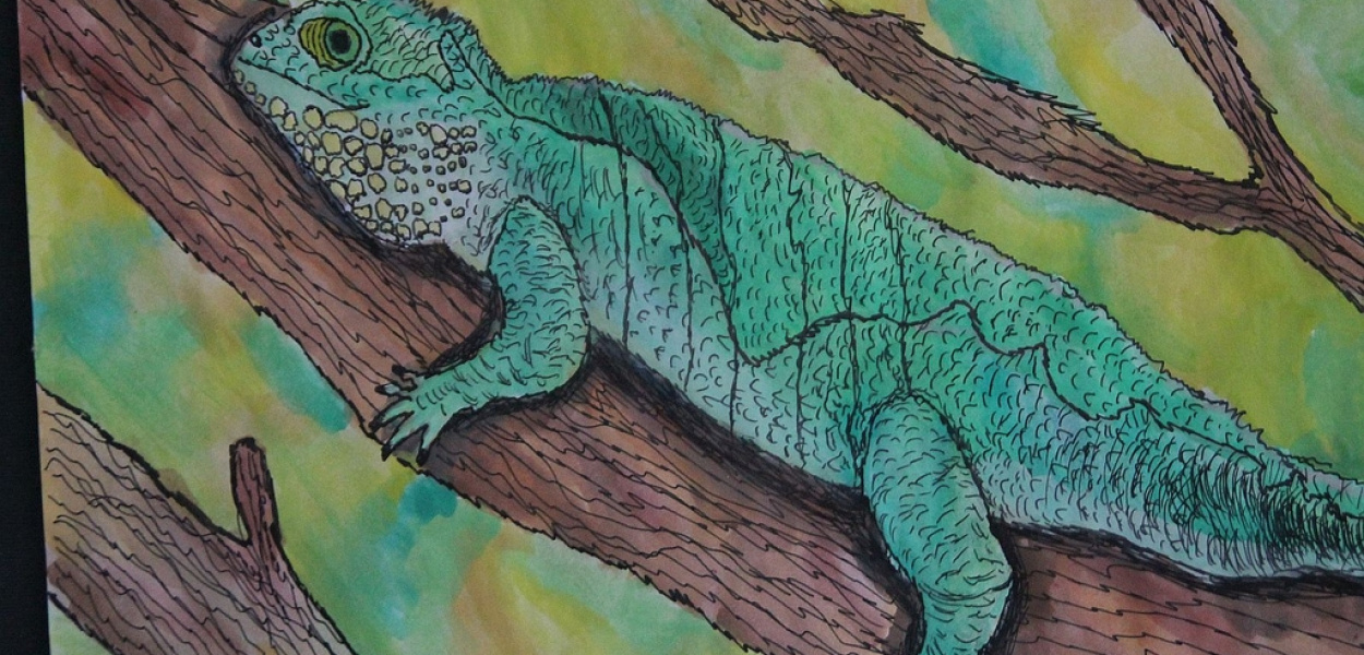 Dolnośląski Konkurs Plastyczny "Psiaki, kociaki i inne zwirzaki"