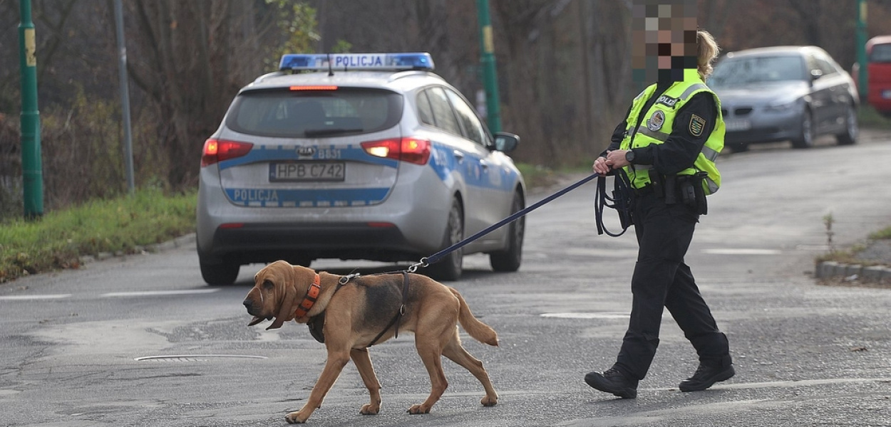  Morderstwo na Wlk. Niedźwiedzicy. Trwa akcja niemieckiej i polskiej…