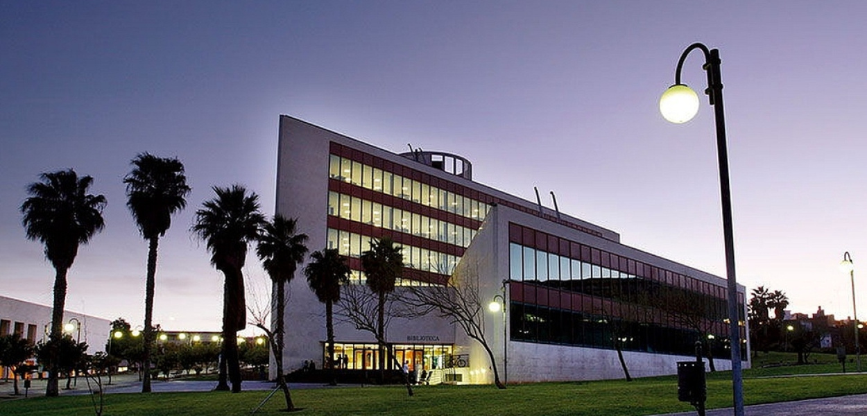 Studencie. Jedź na studia na Teneryfę!