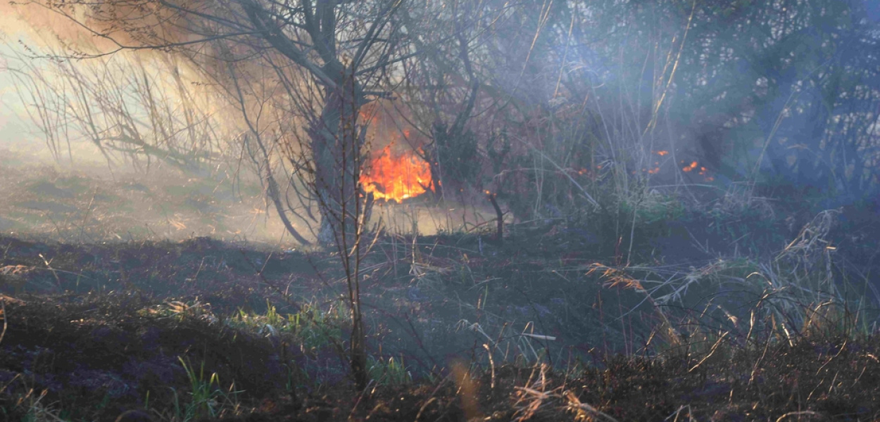 Czternaście pożarów. Czy ktoś celowo podpala trawy? 

