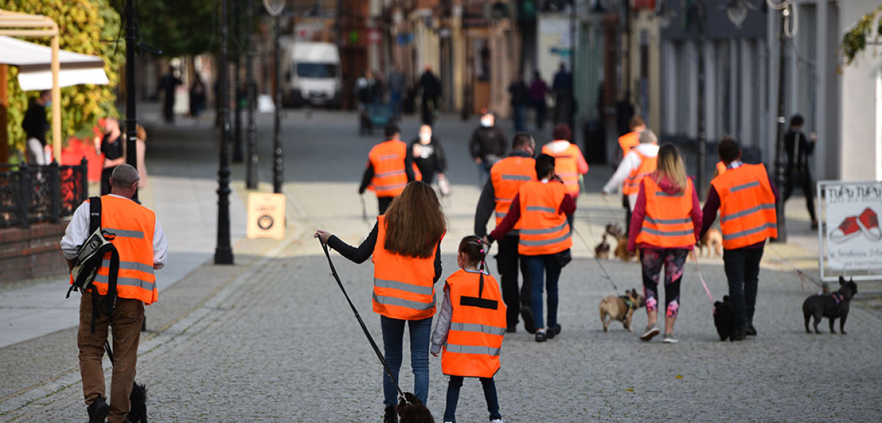 „Spacer z psem po Polsce” także w Legnicy