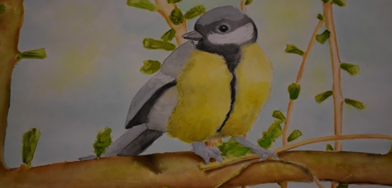 Psiaki, kociaki i inne zwierzaki. 83 prace nagrodzone