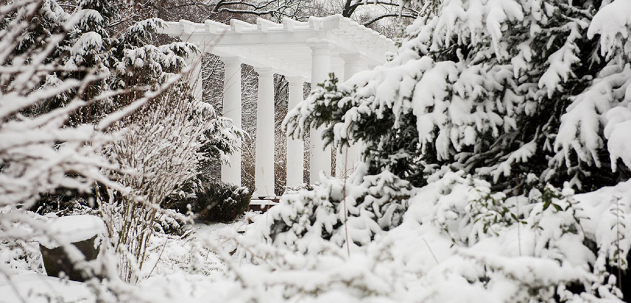 Park wygląda bajkowo. Namawiamy Was na spacer