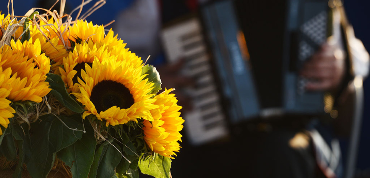 Dźwięki akordeonów zawładnęły duszami prochowiczan