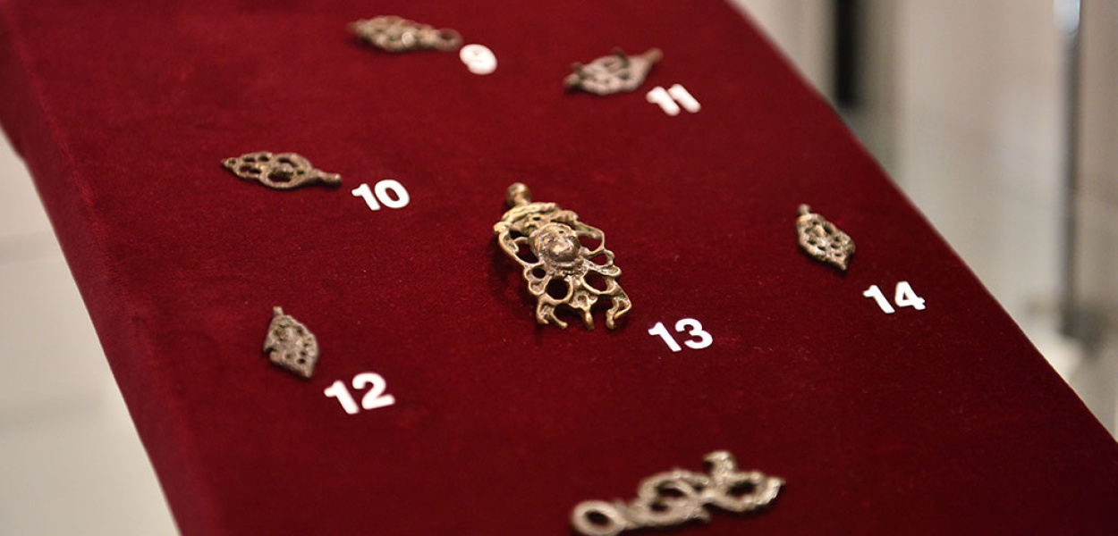 „Bonus campus”, czyli efekty poszukiwań śladów bitwy pod Legnicą