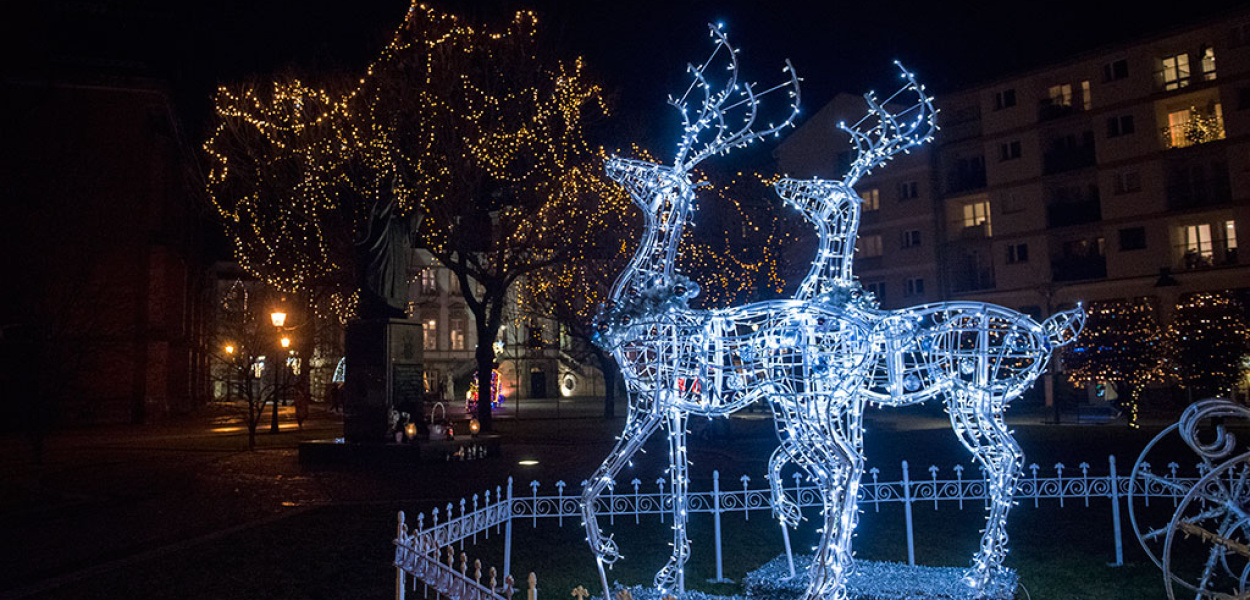 Legnica pięknie oświetlona. Podziwiajmy póki możemy