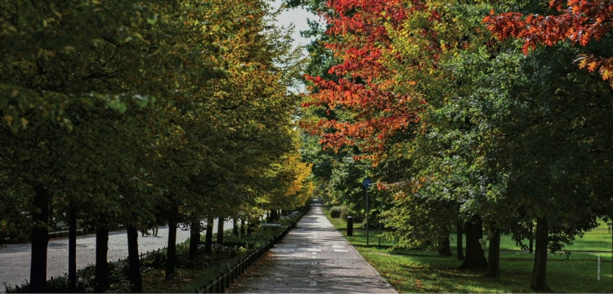 W środę kalendarz miejski trafi do rąk legniczan