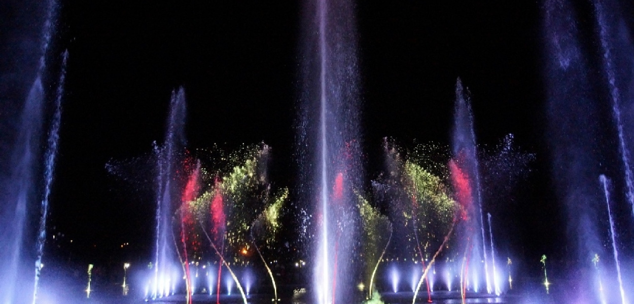 Już tańczą mieniąc się barwami. Jest co podziwiać 