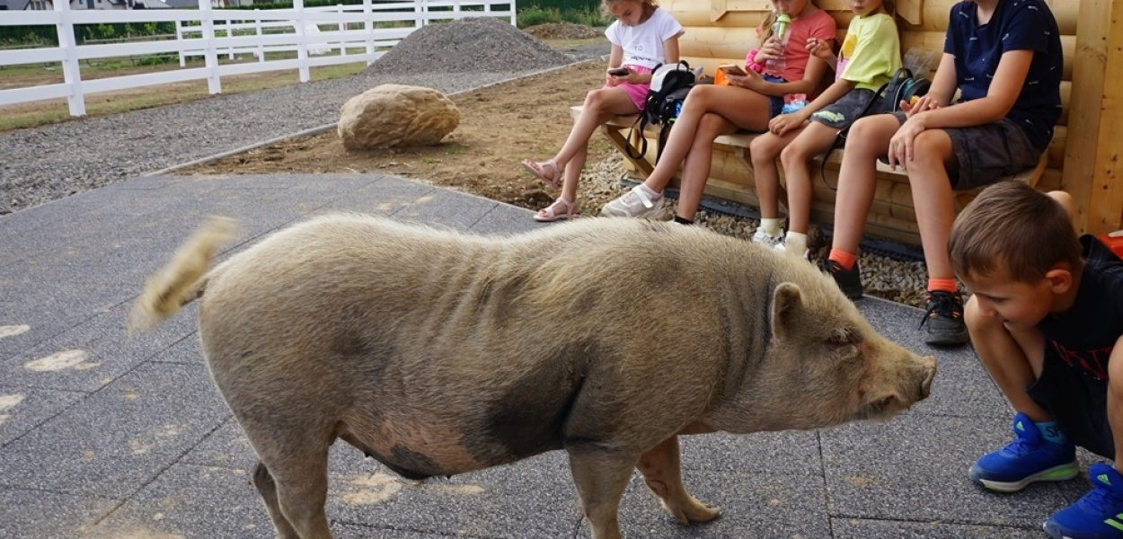 Trwa wakacyjna przygoda z GOKiS Kunice